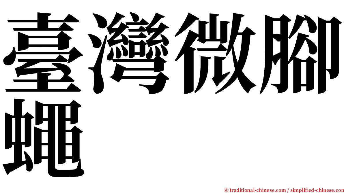 臺灣微腳蠅 serif font