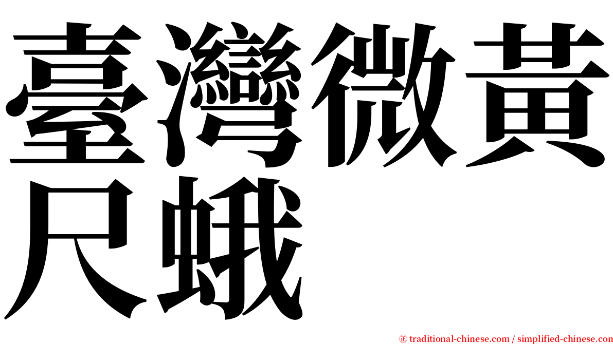 臺灣微黃尺蛾 serif font