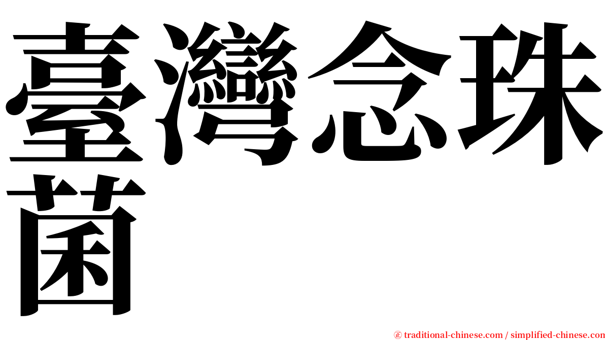 臺灣念珠菌 serif font