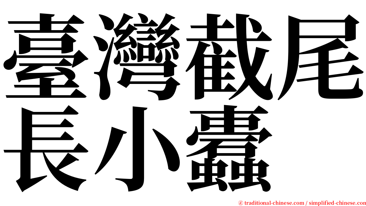 臺灣截尾長小蠹 serif font