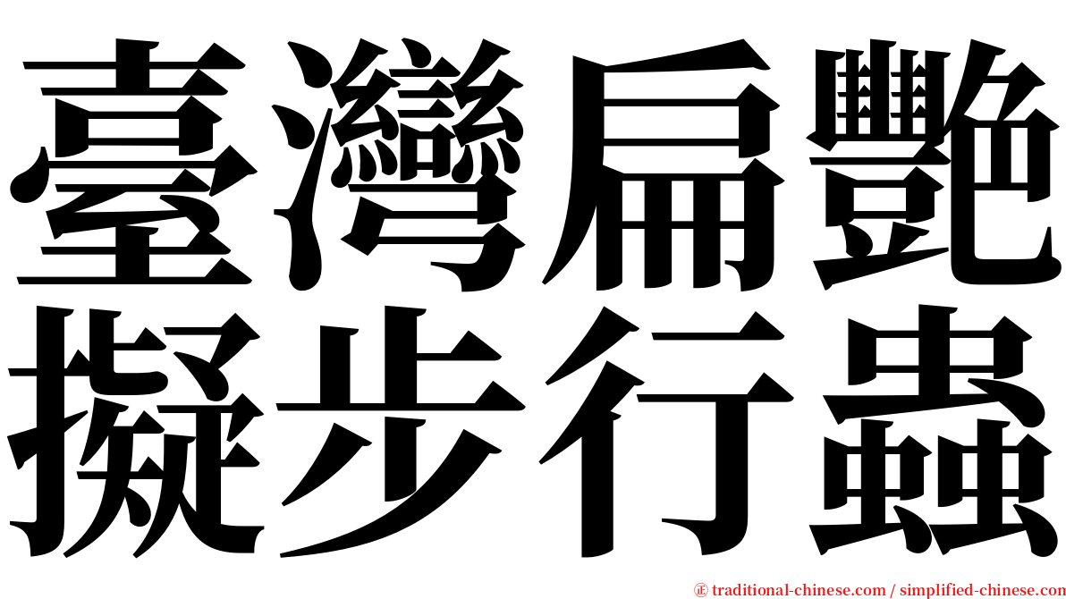 臺灣扁艷擬步行蟲 serif font