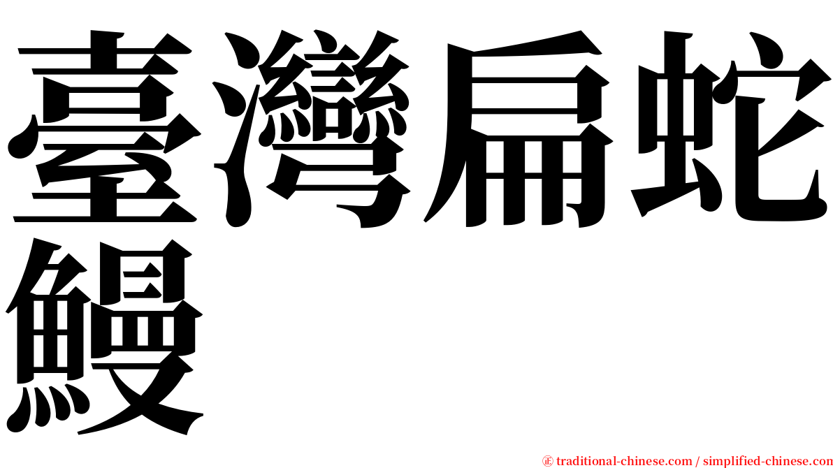 臺灣扁蛇鰻 serif font