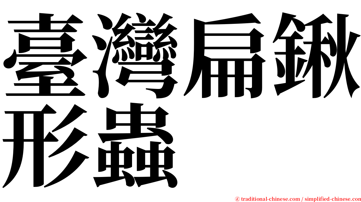 臺灣扁鍬形蟲 serif font