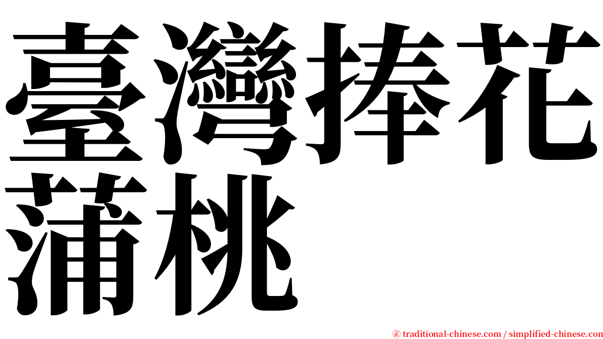 臺灣捧花蒲桃 serif font