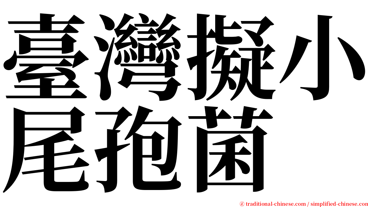 臺灣擬小尾孢菌 serif font