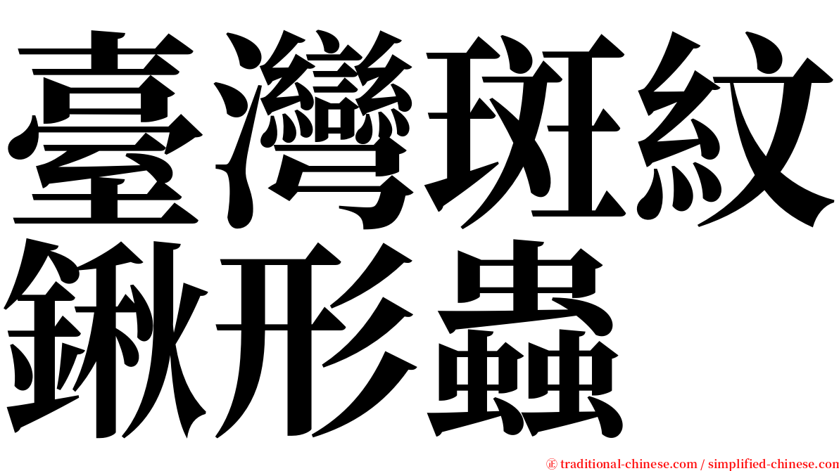 臺灣斑紋鍬形蟲 serif font