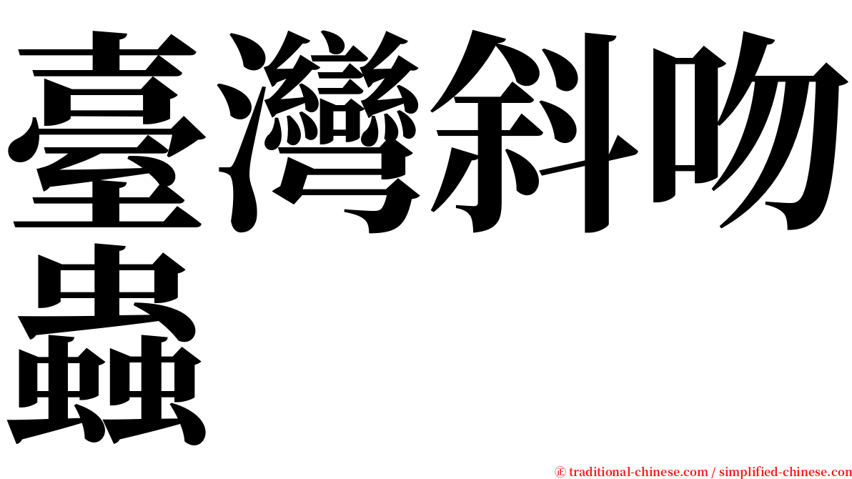 臺灣斜吻蟲 serif font