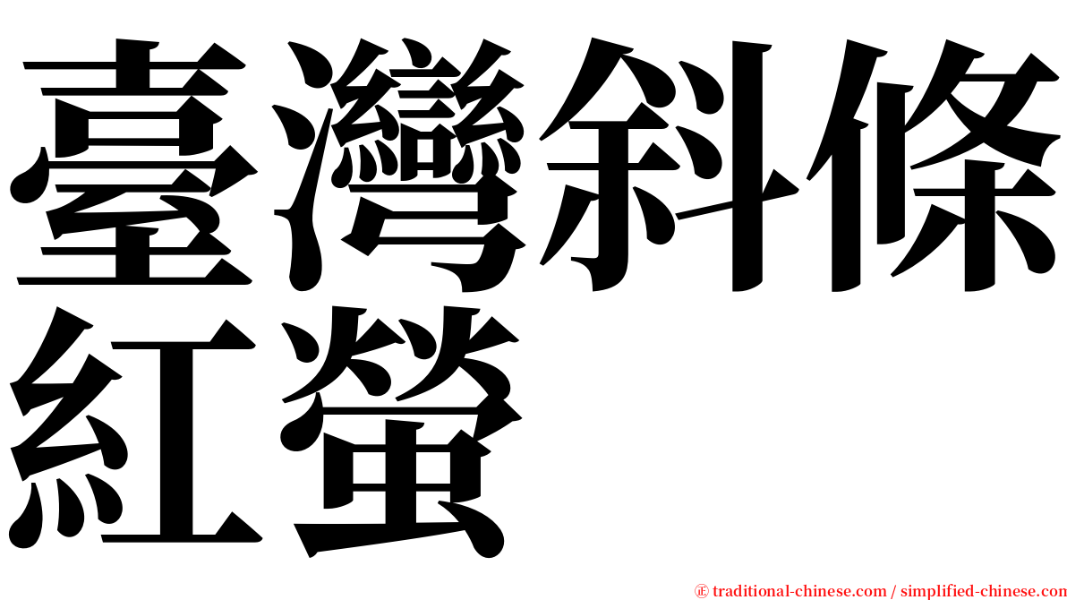 臺灣斜條紅螢 serif font