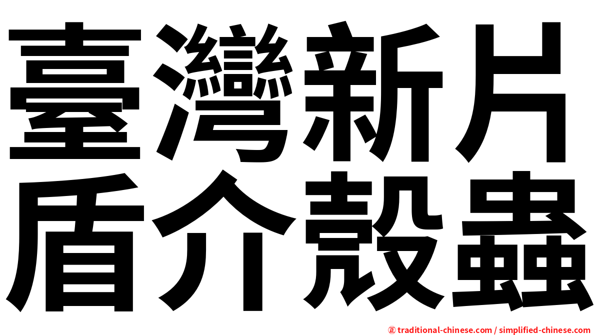 臺灣新片盾介殼蟲