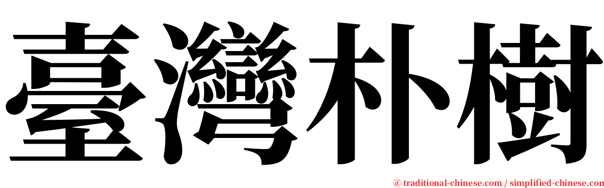 臺灣朴樹 serif font