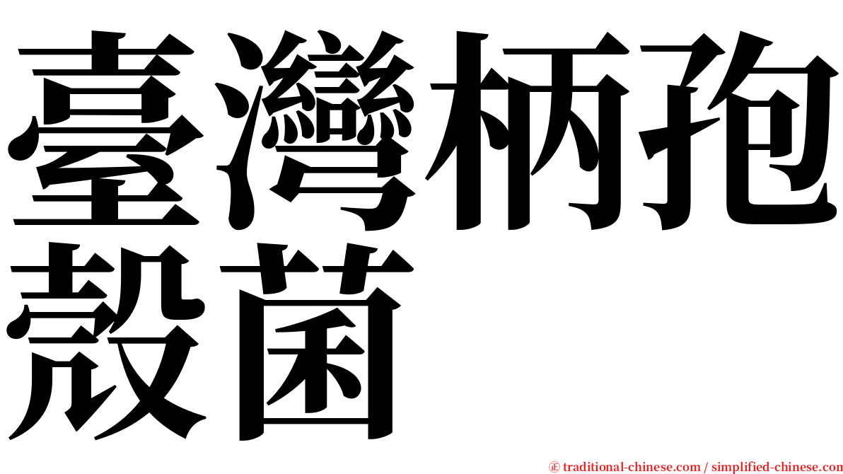 臺灣柄孢殼菌 serif font