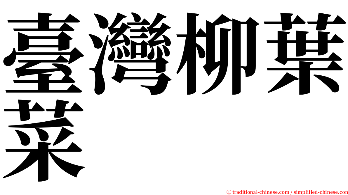 臺灣柳葉菜 serif font