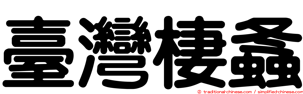 臺灣棲螽
