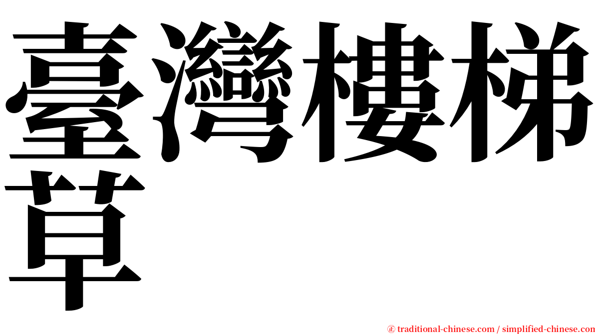 臺灣樓梯草 serif font