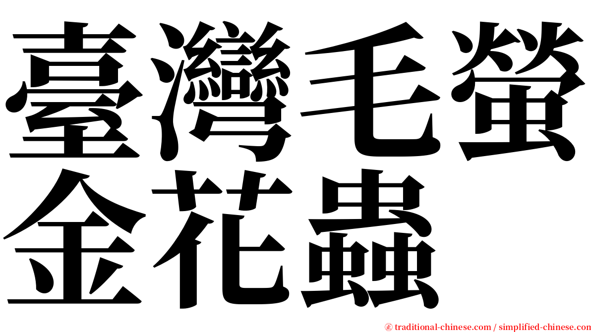 臺灣毛螢金花蟲 serif font