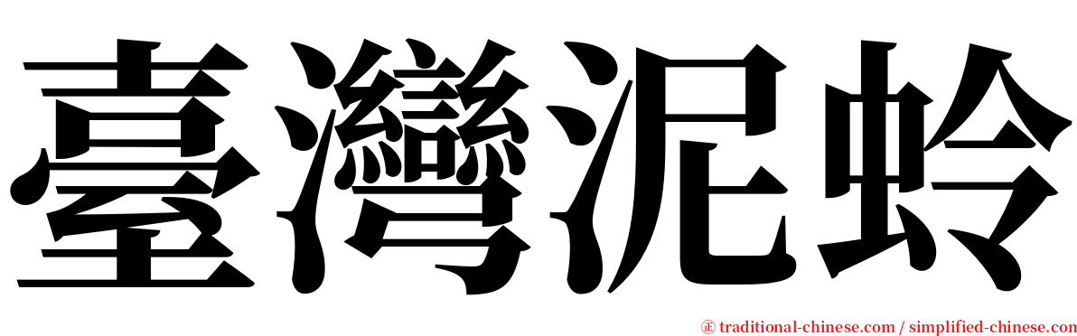 臺灣泥蛉 serif font