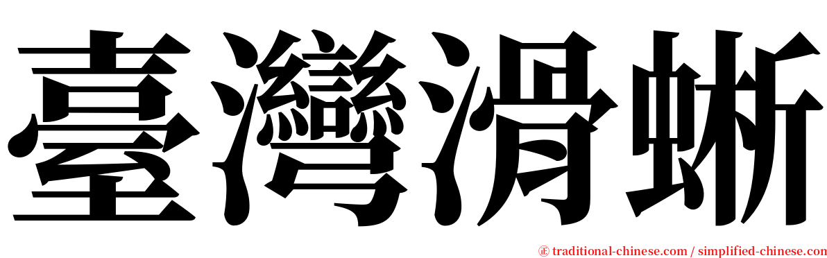 臺灣滑蜥 serif font