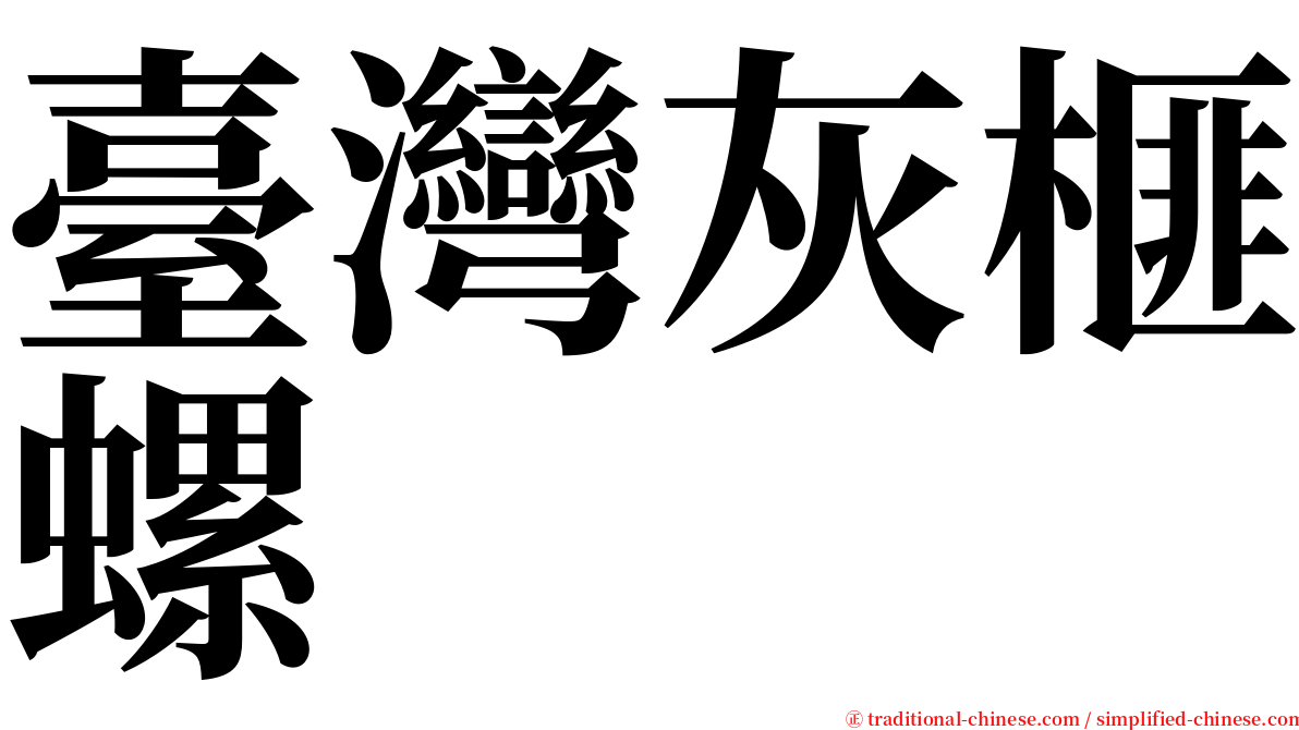 臺灣灰榧螺 serif font