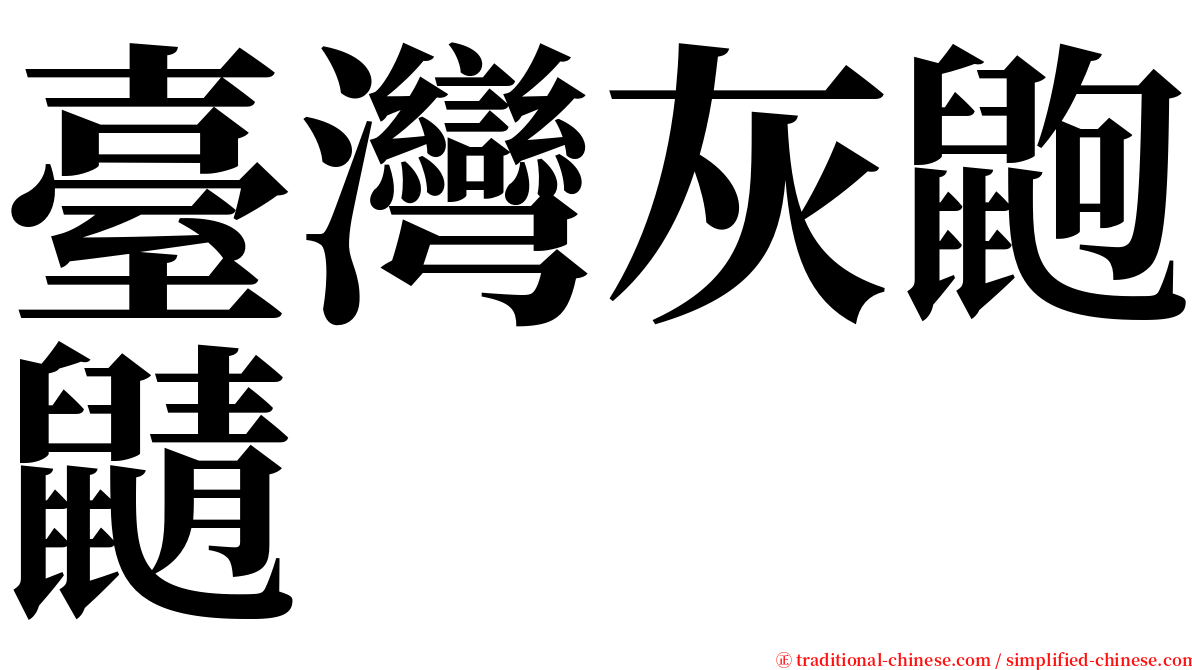 臺灣灰鼩鼱 serif font