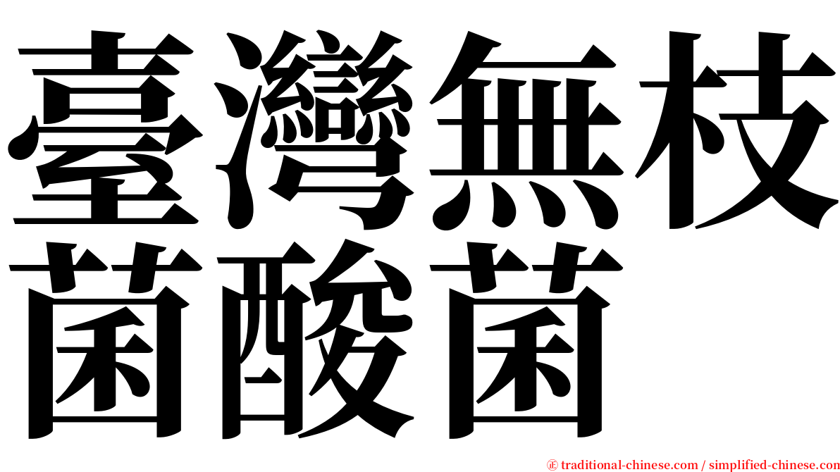 臺灣無枝菌酸菌 serif font