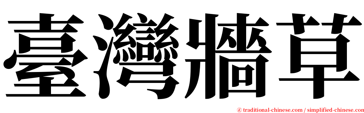 臺灣牆草 serif font