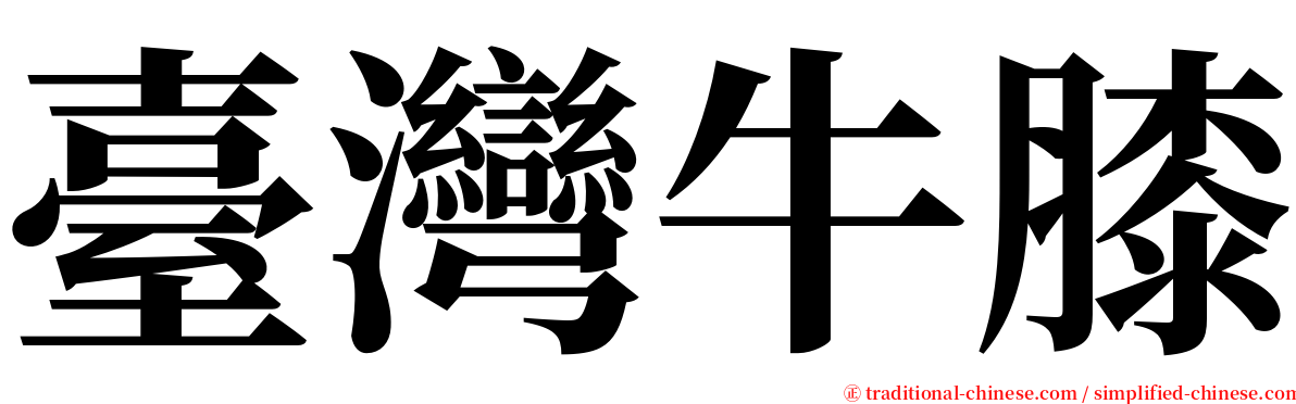 臺灣牛膝 serif font
