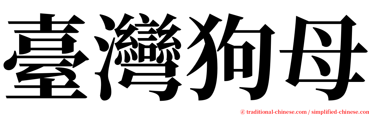 臺灣狗母 serif font