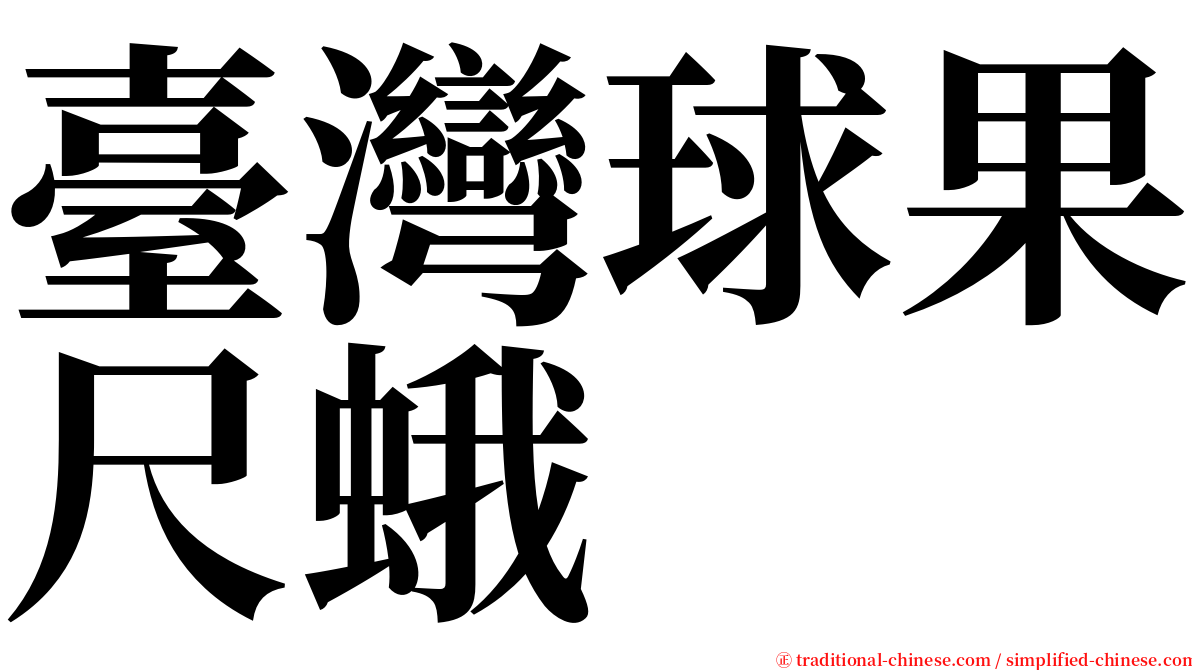 臺灣球果尺蛾 serif font
