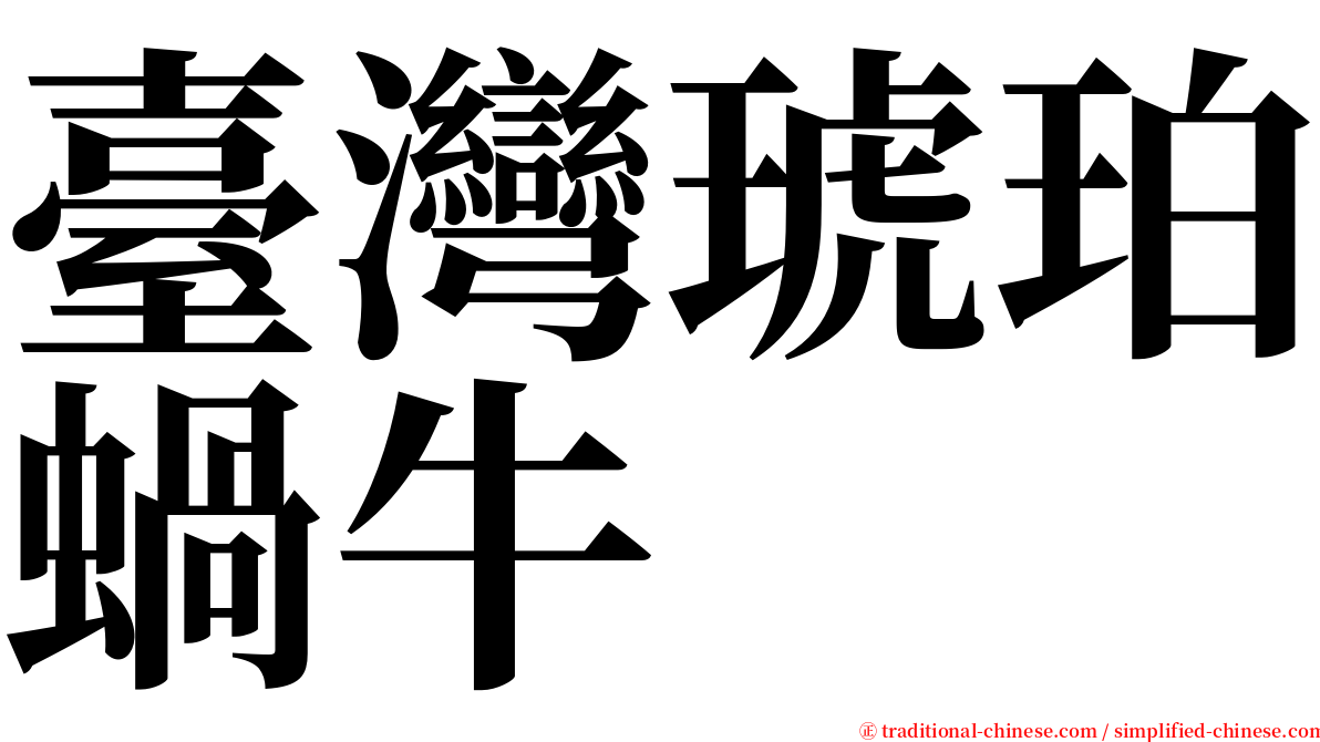 臺灣琥珀蝸牛 serif font