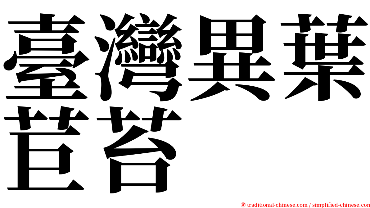 臺灣異葉苣苔 serif font