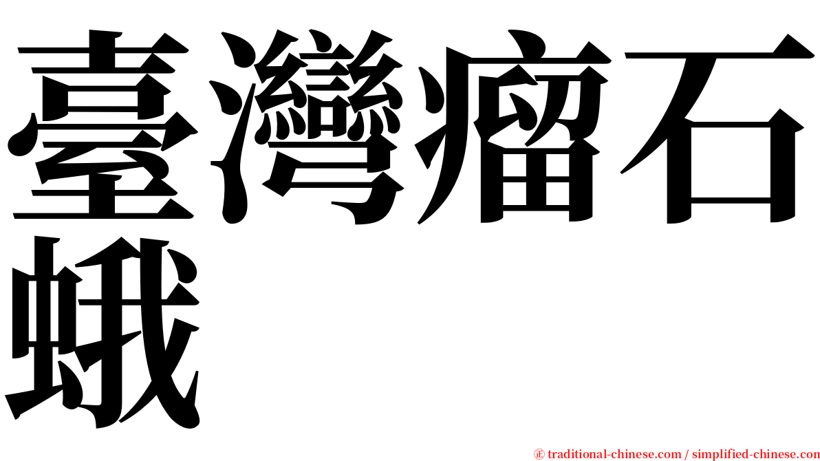 臺灣瘤石蛾 serif font