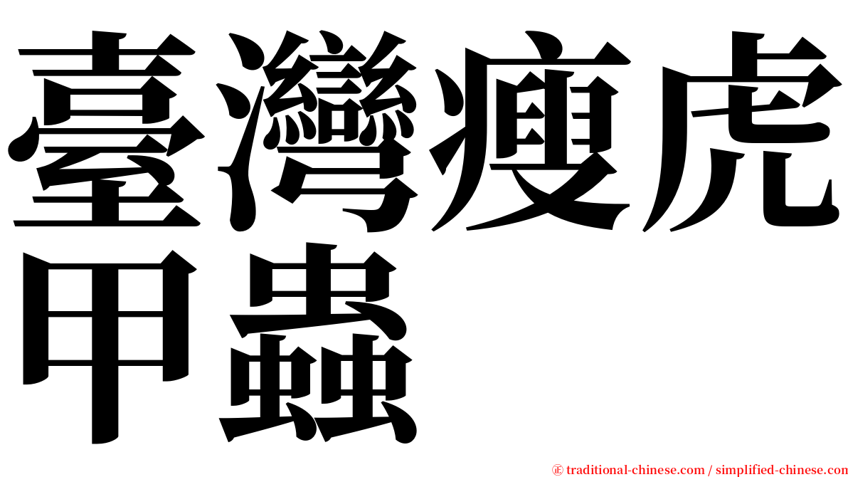 臺灣瘦虎甲蟲 serif font