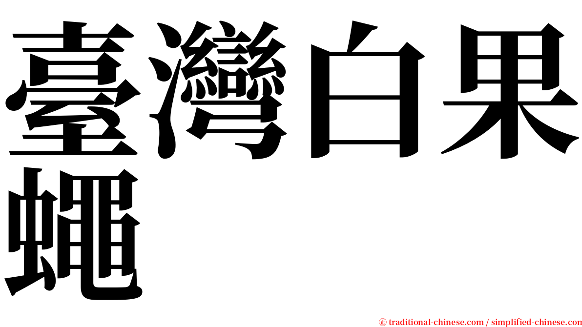 臺灣白果蠅 serif font