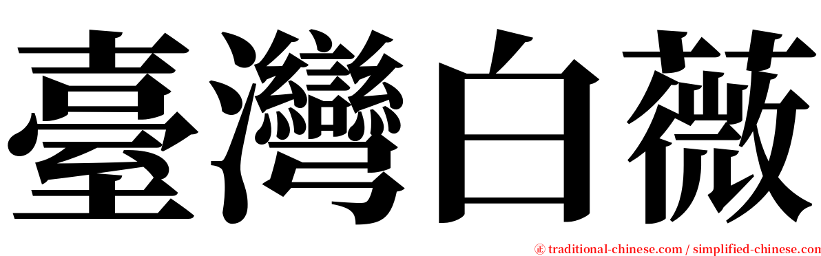 臺灣白薇 serif font