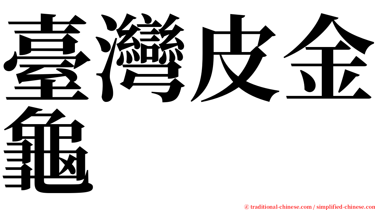 臺灣皮金龜 serif font