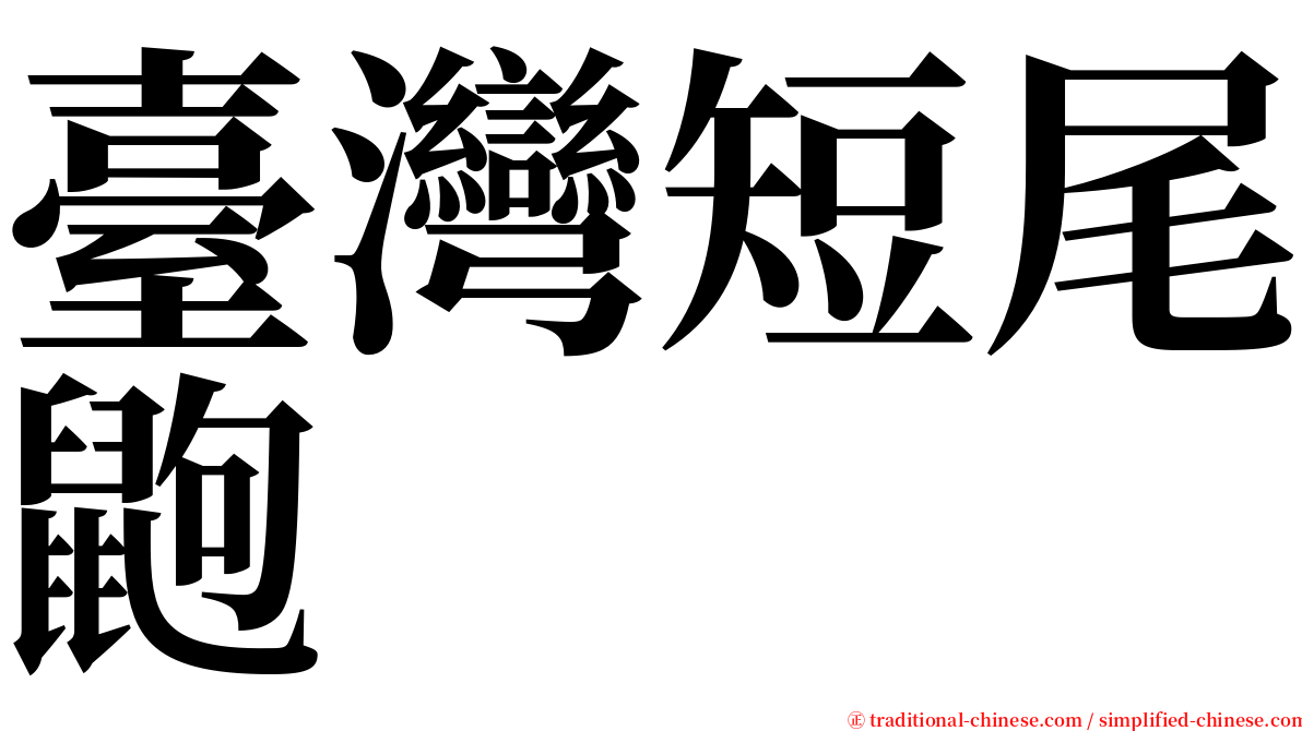 臺灣短尾鼩 serif font