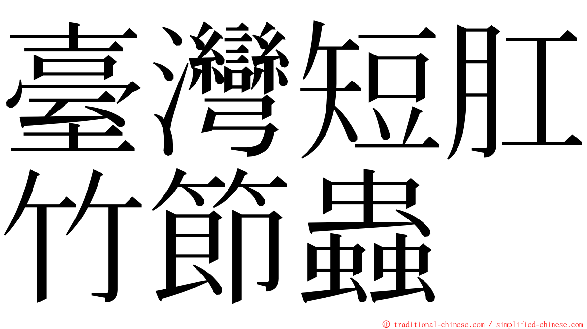 臺灣短肛竹節蟲 ming font