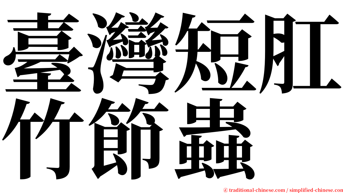 臺灣短肛竹節蟲 serif font