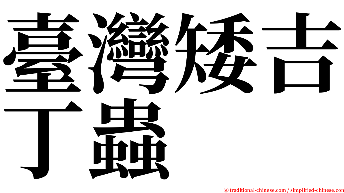 臺灣矮吉丁蟲 serif font