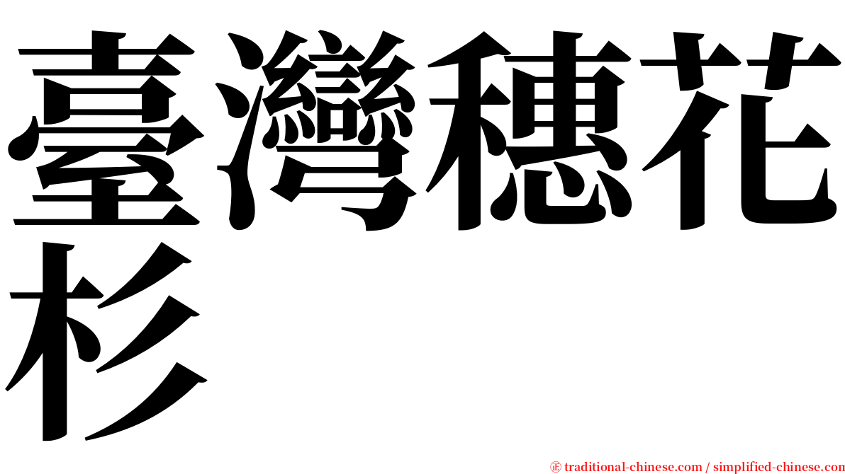 臺灣穗花杉 serif font