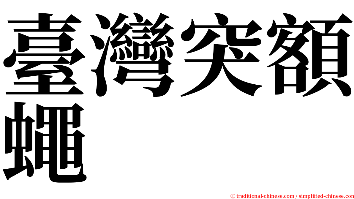 臺灣突額蠅 serif font