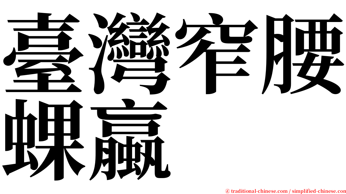 臺灣窄腰蜾蠃 serif font