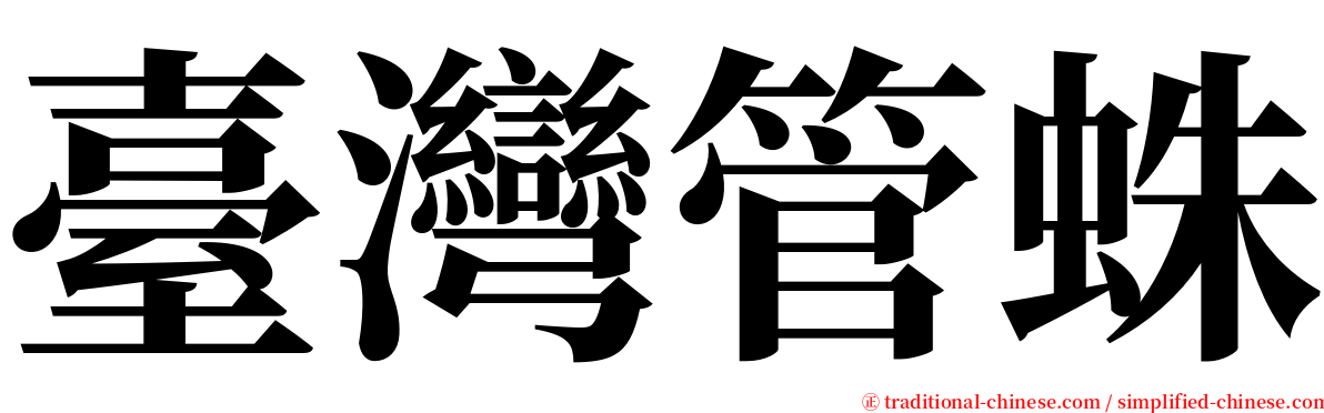 臺灣管蛛 serif font