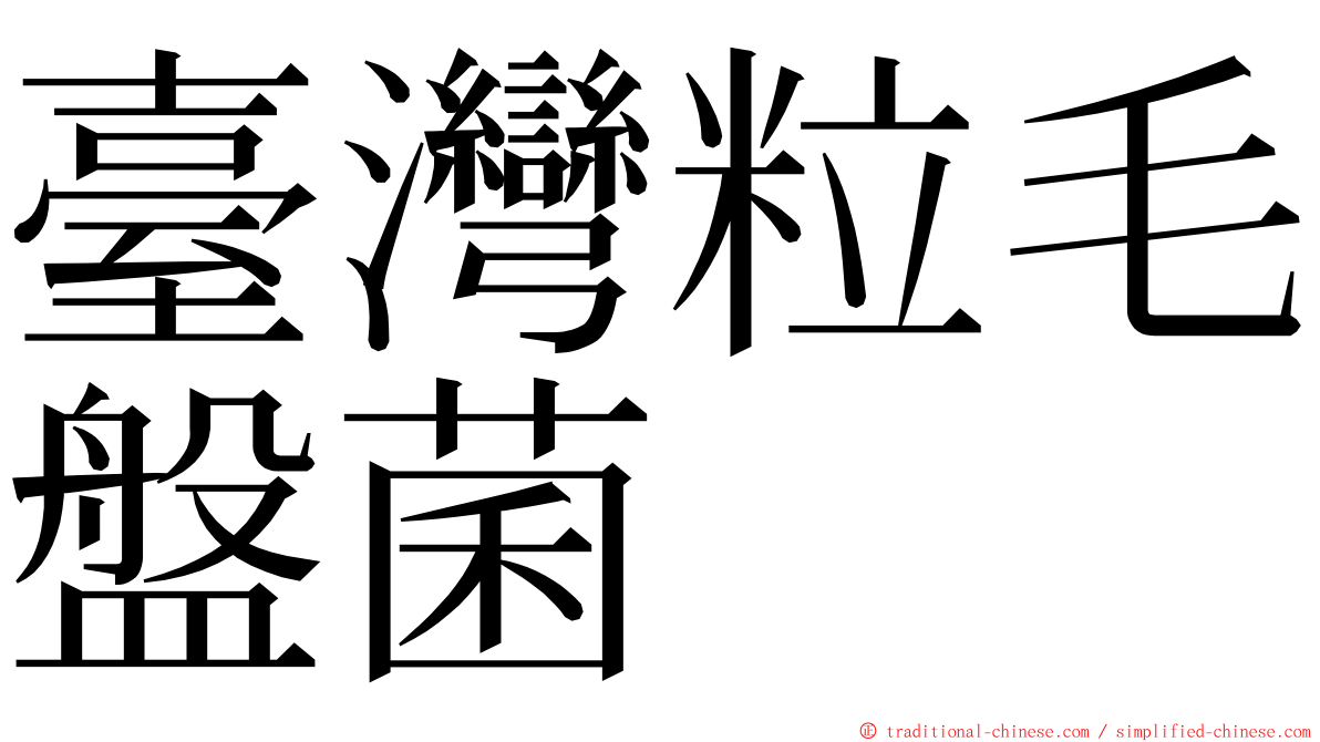臺灣粒毛盤菌 ming font