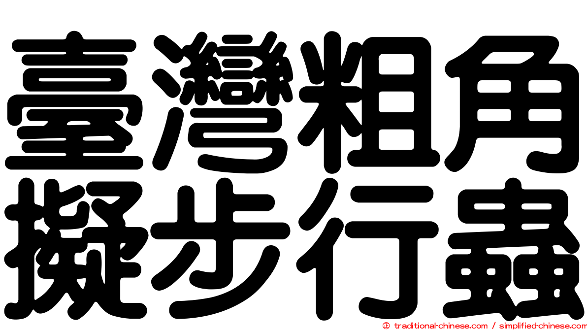 臺灣粗角擬步行蟲