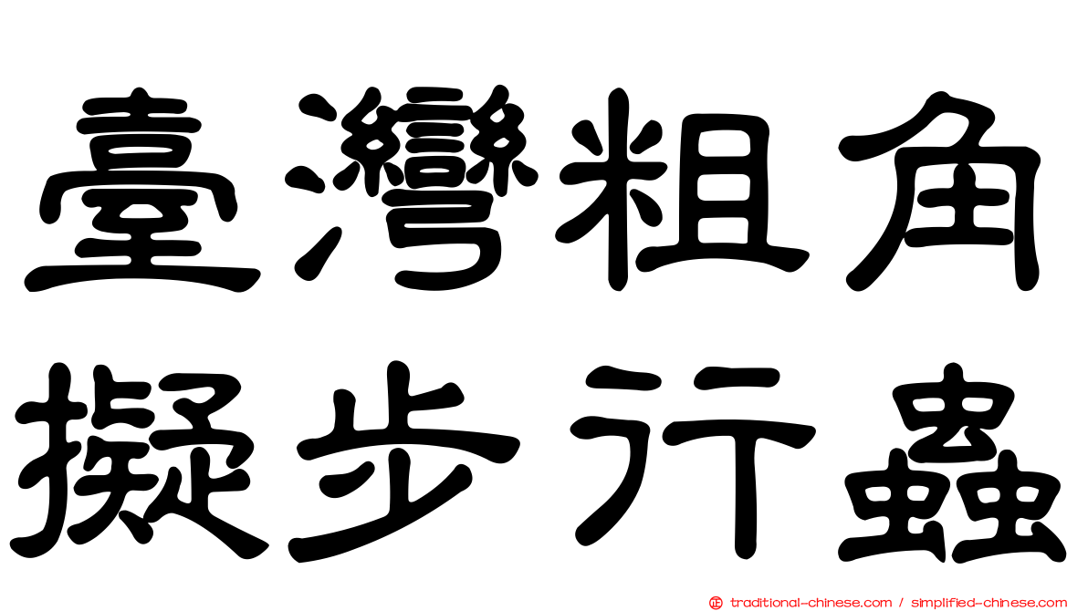 臺灣粗角擬步行蟲