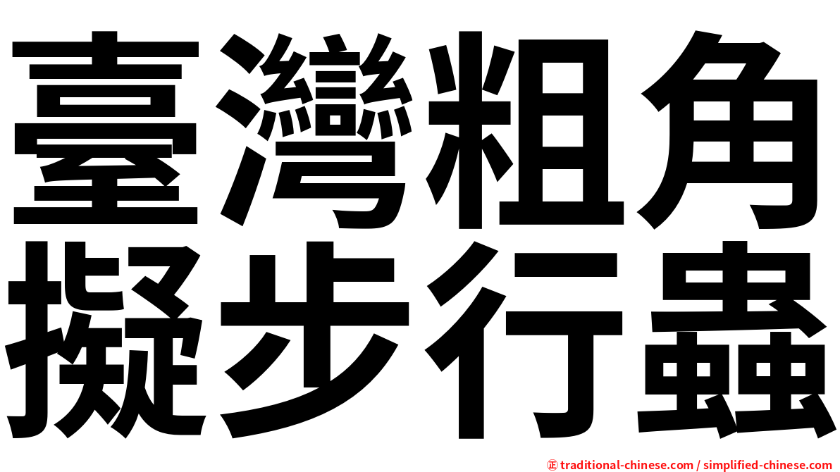 臺灣粗角擬步行蟲