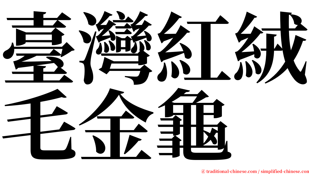 臺灣紅絨毛金龜 serif font