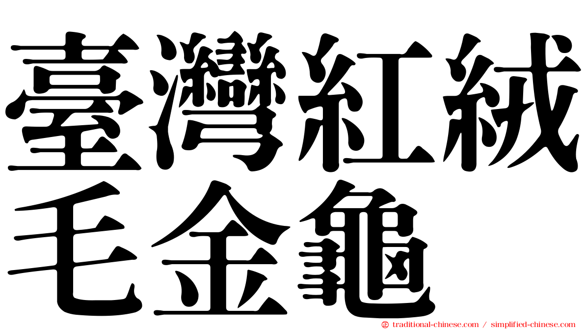 臺灣紅絨毛金龜