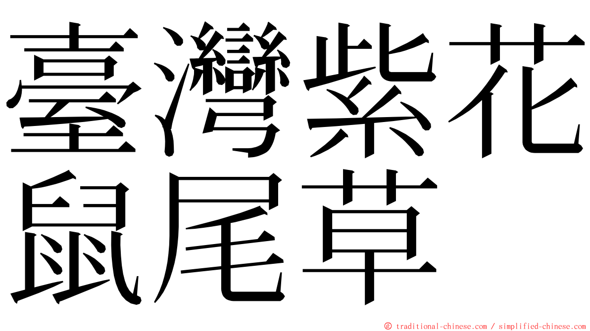 臺灣紫花鼠尾草 ming font